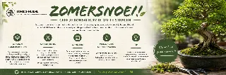 Foto bij topic De charme van bonsai: kleine boom, groot verhaal