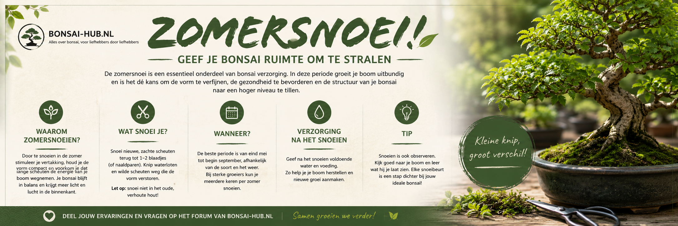 Foto bij topic De charme van bonsai: kleine boom, groot verhaal